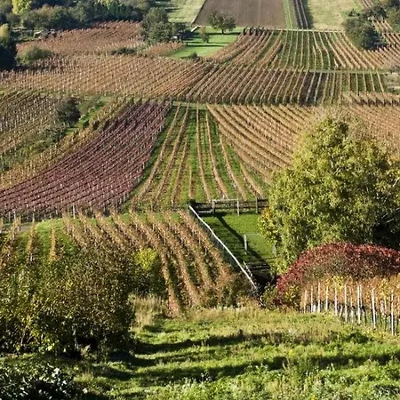 Casa de Férias Kobel Comfortable *