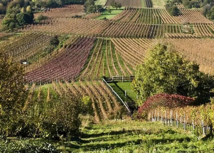 Dom wakacyjny Kobel Comfortable *